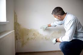 Best Airborne Mold Testing  in Nicollet, MN